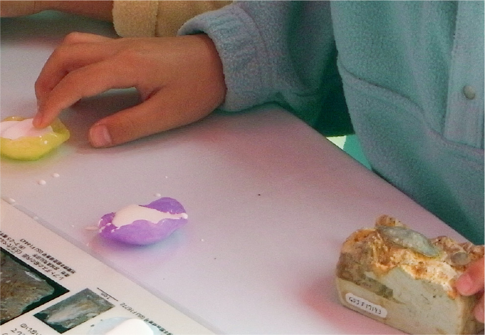 化石レプリカをつくろう